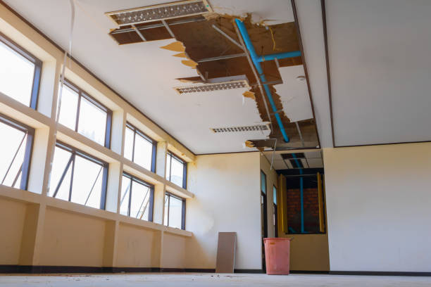 Best Water damage restoration experts  in Soh Weber, UT