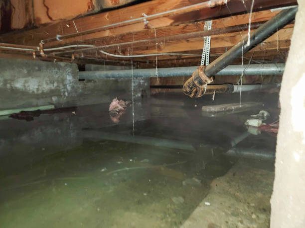 Best Flood damage cleanup  in Soh Weber, UT
