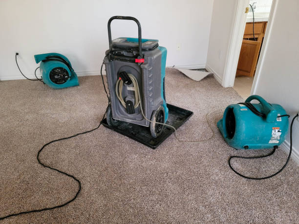 Water damage restoration experts in South Weber, UT
