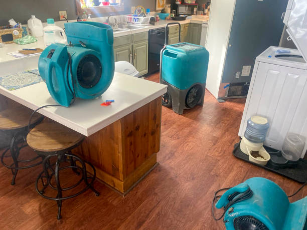 Water damage restoration insurance claims in South Weber, UT
