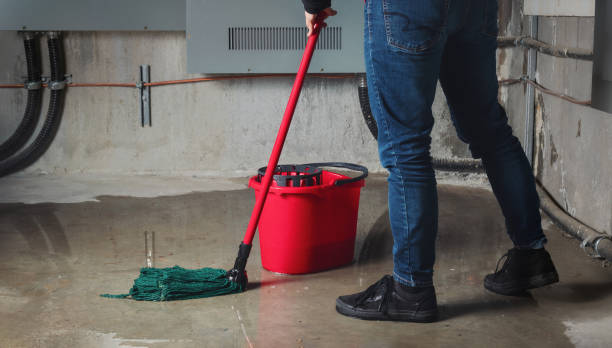 Best Mold removal after water damage  in Soh Weber, UT