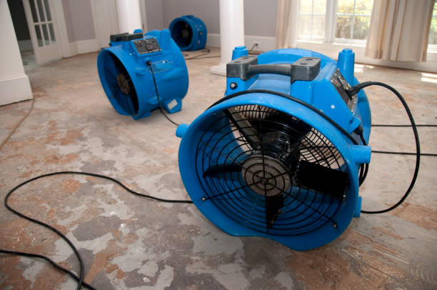 Best Water damage restoration near me  in Soh Weber, UT
