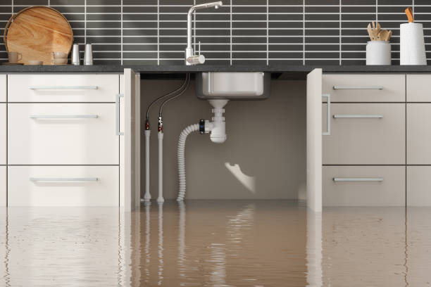 Best Flood restoration services  in Soh Weber, UT