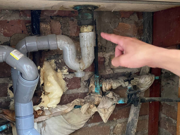 Best Professional water damage repair  in Soh Weber, UT