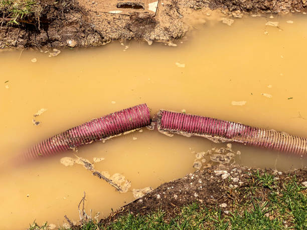 Best Sewage cleanup and water damage restoration  in Soh Weber, UT