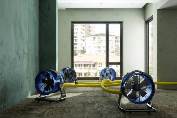 Best Sewage cleanup and water damage restoration  in Soh Weber, UT